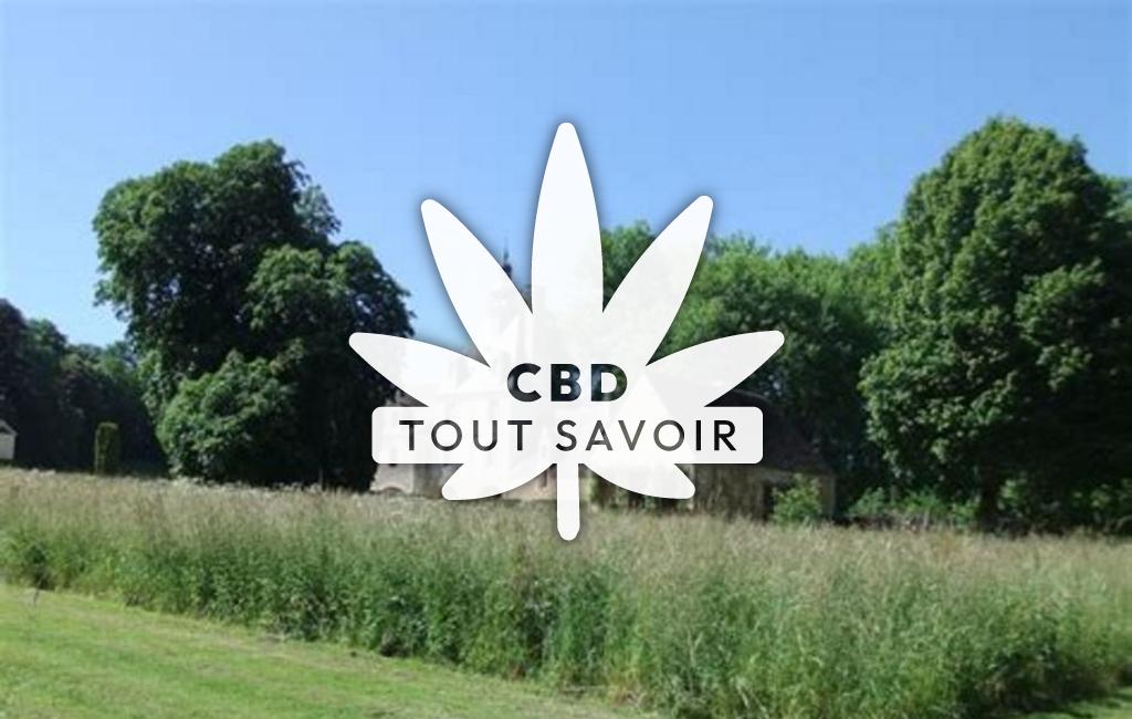 Village à Gouvix avec feuille Cannabis CBD