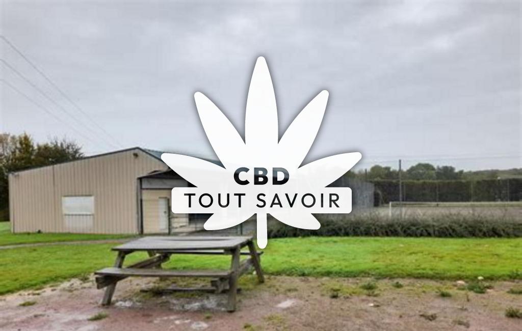 Village à Treprel avec feuille Cannabis CBD