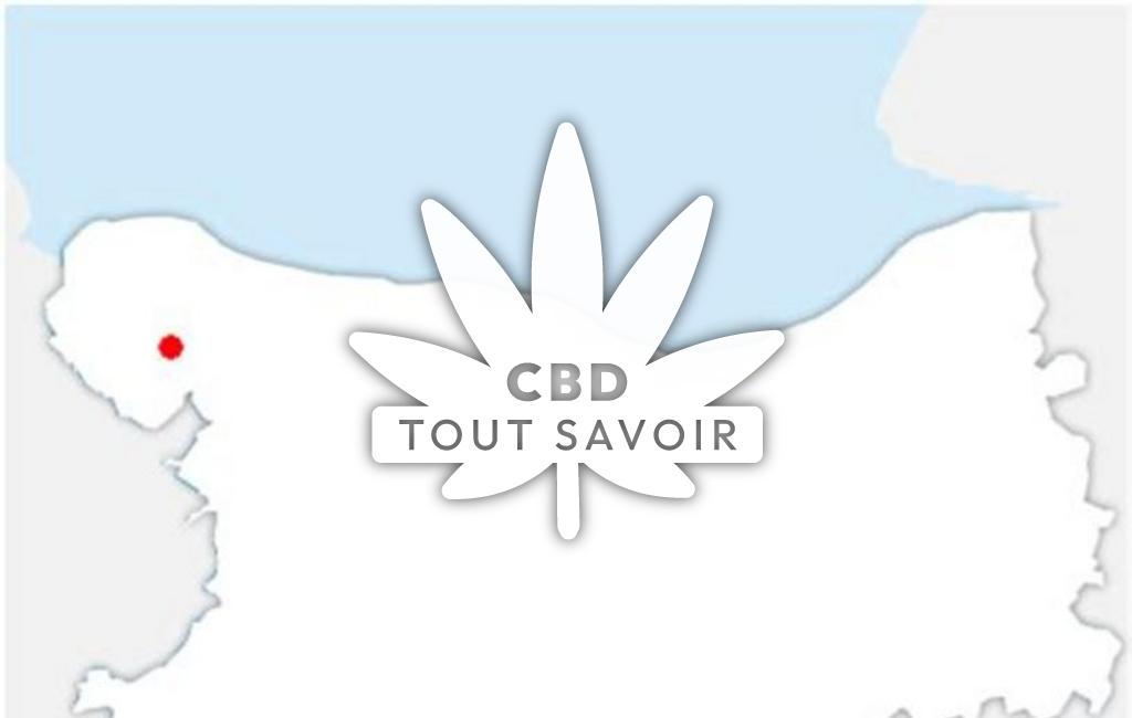 Village à La-Folie avec feuille Cannabis CBD