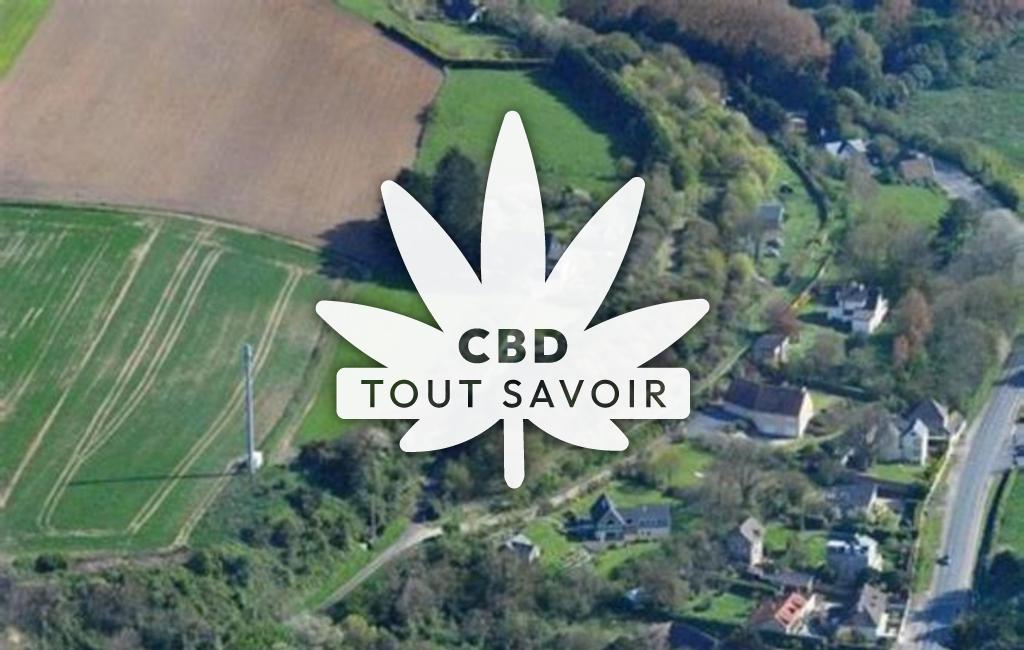 Village à Saint-Laurent-sur-Mer avec feuille Cannabis CBD
