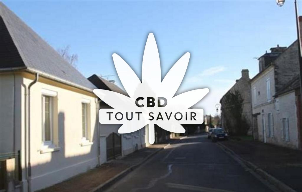 Village à Saint-Manvieu-Norrey avec feuille Cannabis CBD