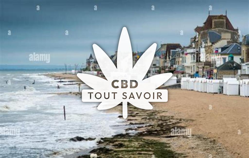 Village à Saint-Aubin-sur-Mer avec feuille Cannabis CBD