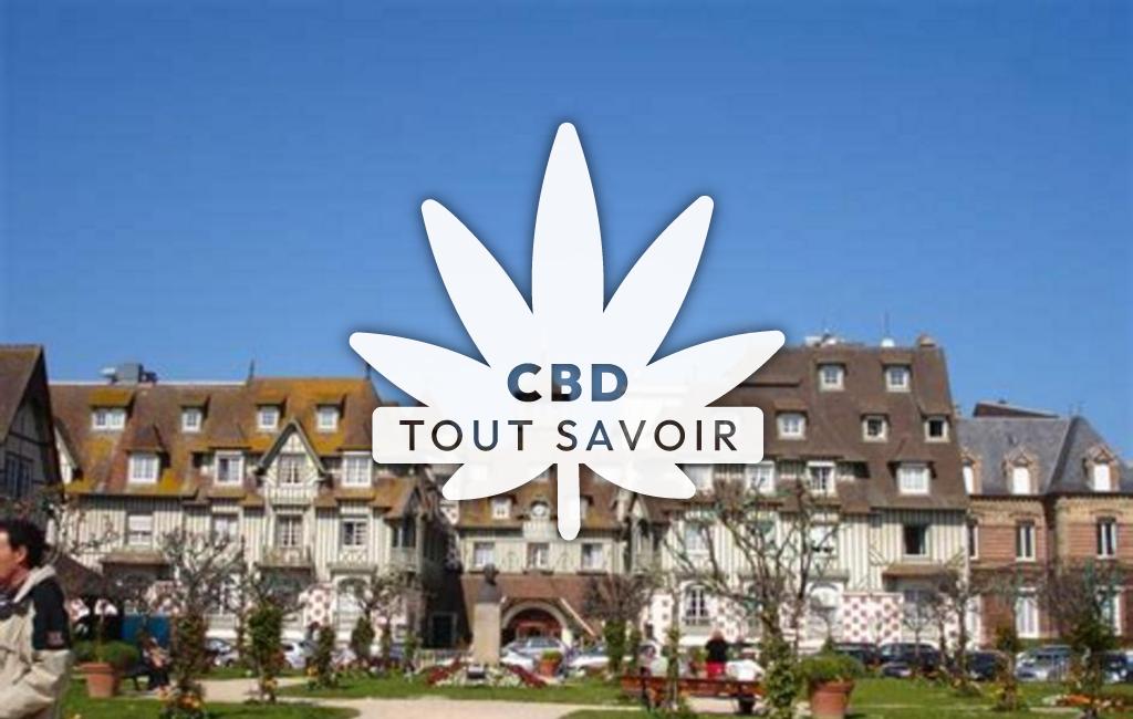Village à Deauville avec feuille Cannabis CBD