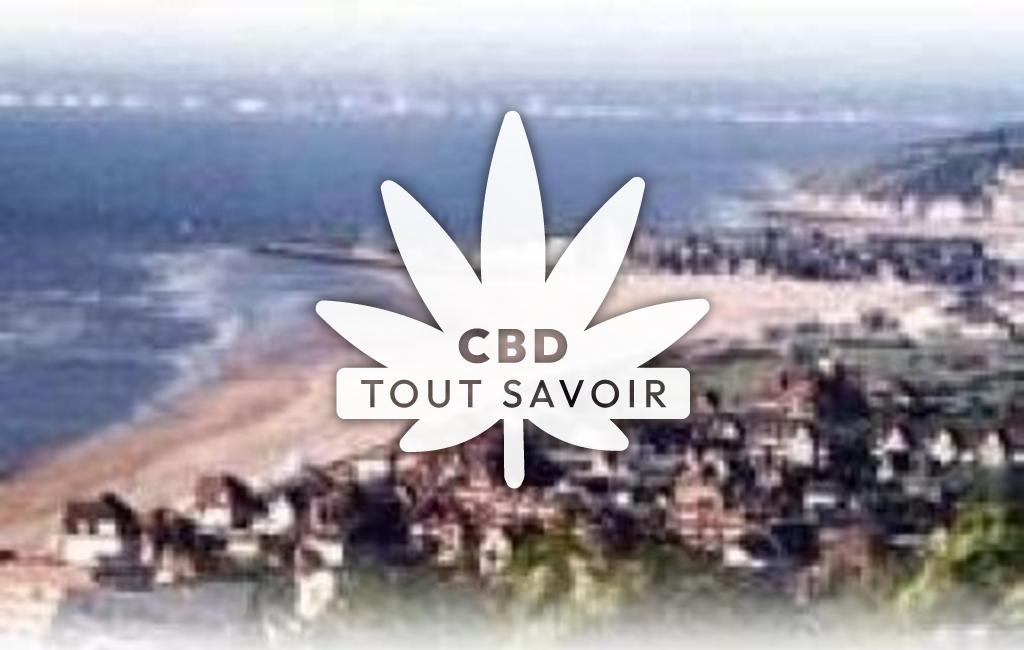 Village à Saint-Arnoult avec feuille Cannabis CBD