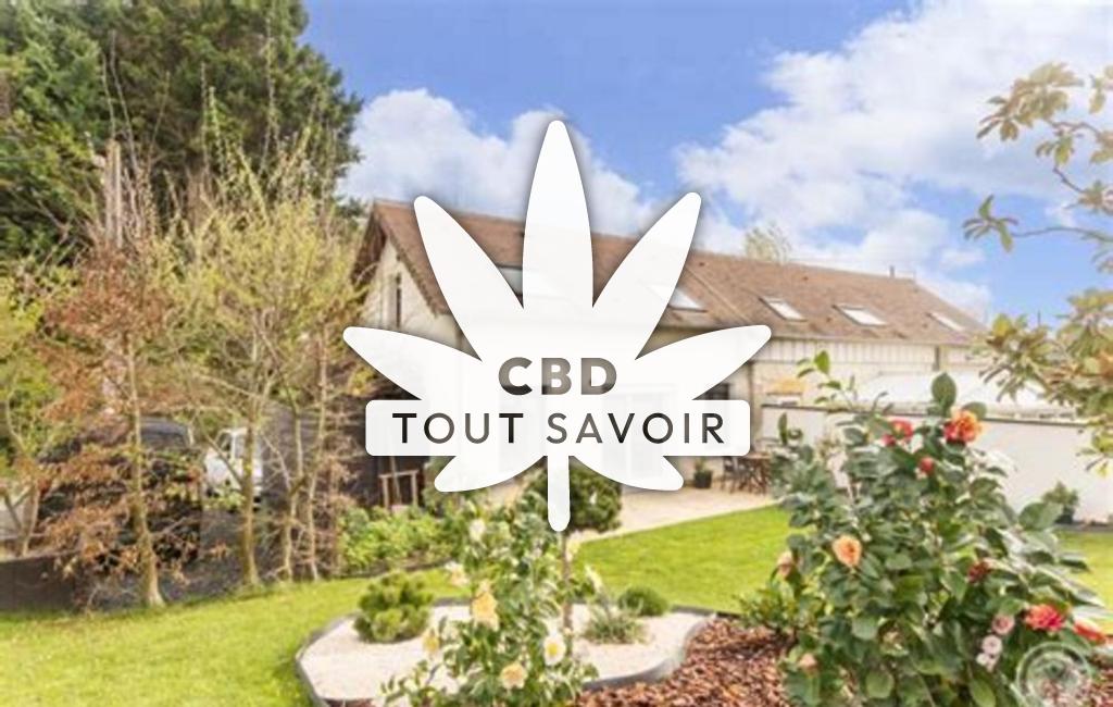 Village à Gonneville-en-Auge avec feuille Cannabis CBD