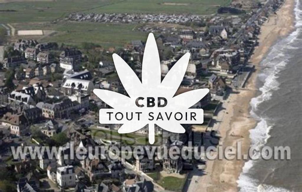 Village à Benerville-sur-Mer avec feuille Cannabis CBD