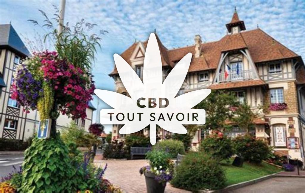 Village à Blonville-sur-Mer avec feuille Cannabis CBD