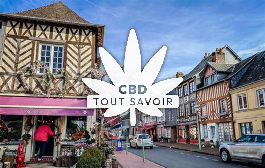 Village à Beaumont-en-Auge avec feuille Cannabis CBD