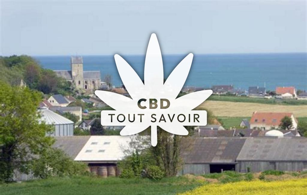 Village à Saint-Come-de-Fresne avec feuille Cannabis CBD