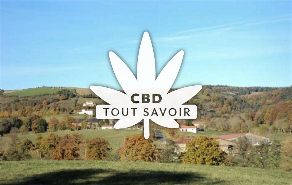 Village à Mentieres avec feuille Cannabis CBD