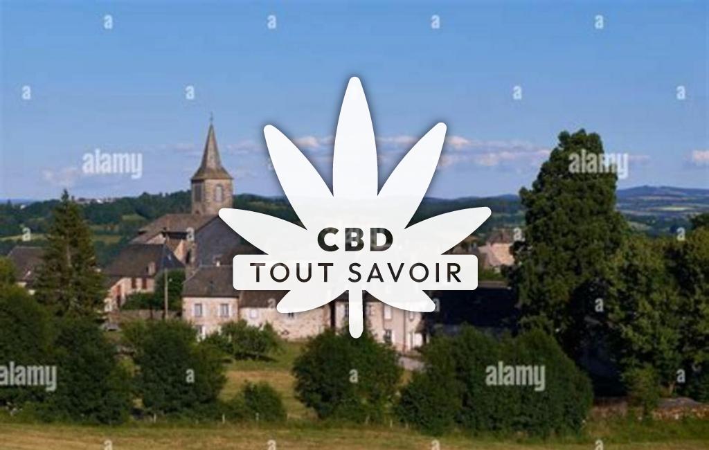Village à Neuveglise-sur-Truyere avec feuille Cannabis CBD