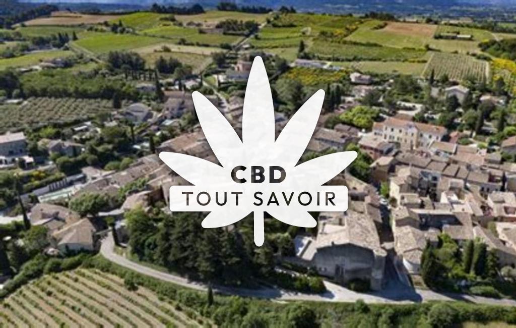 Village à Villedieu avec feuille Cannabis CBD