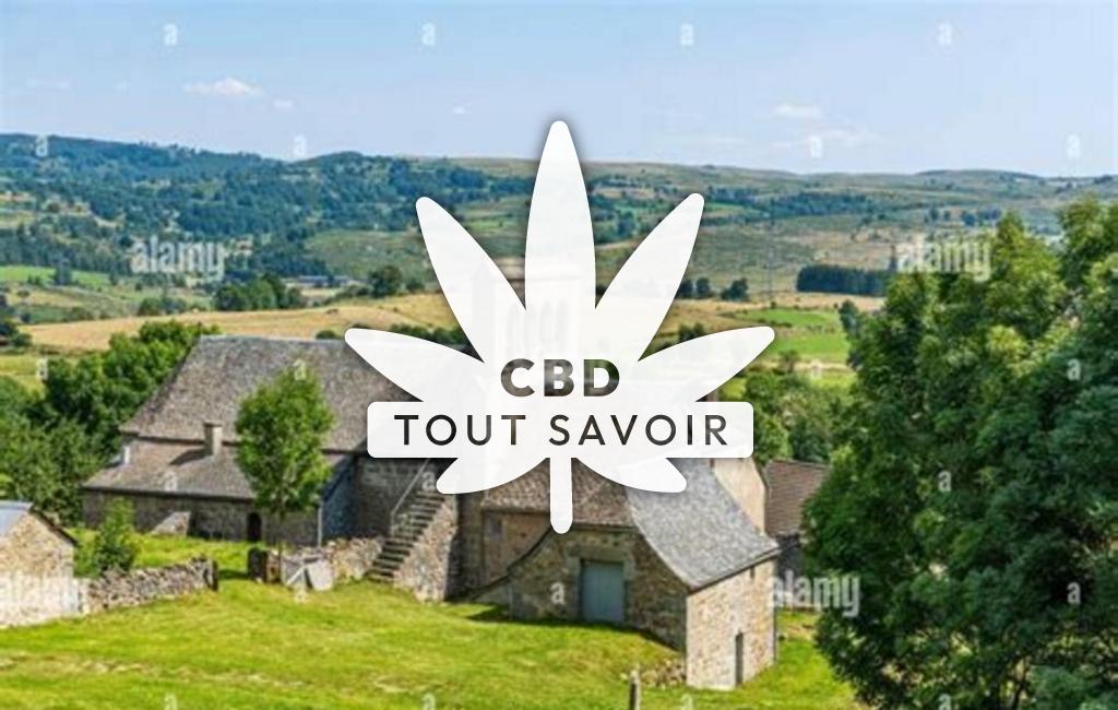 Village à Saint-Remy-de-Chaudes-Aigues avec feuille Cannabis CBD