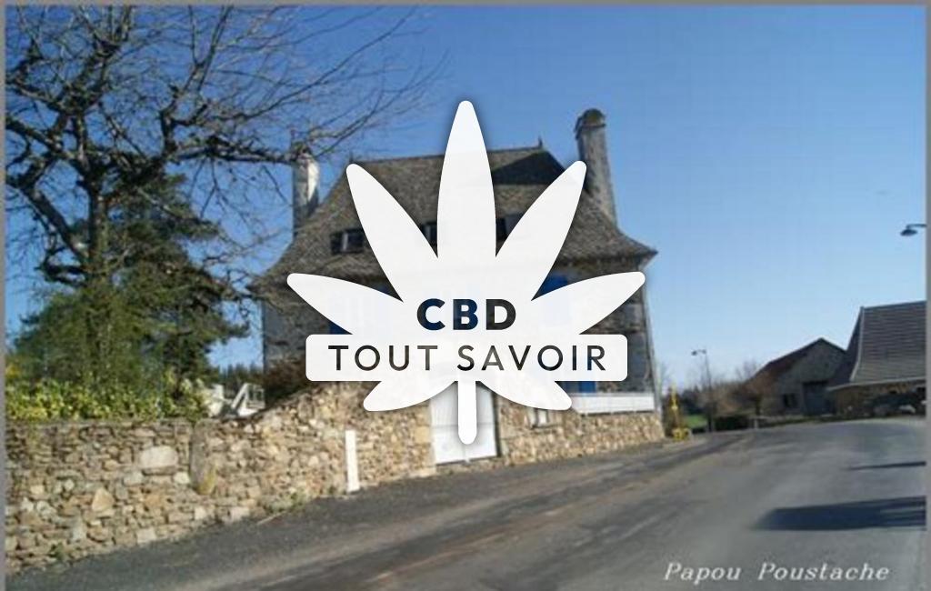 Village à Lacapelle-Del-Fraisse avec feuille Cannabis CBD