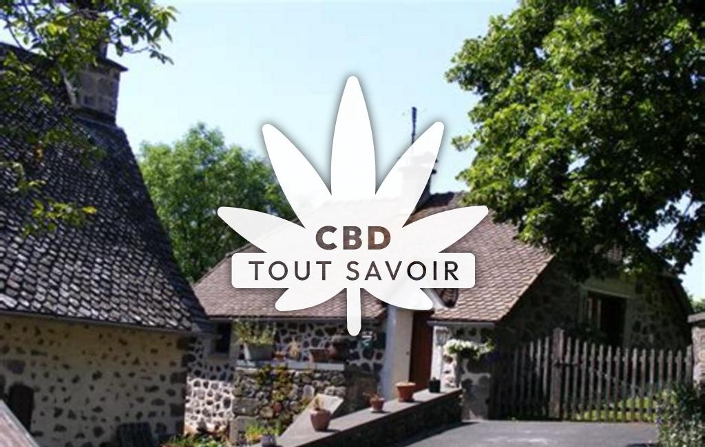 Village à Saint-Etienne-de-Carlat avec feuille Cannabis CBD