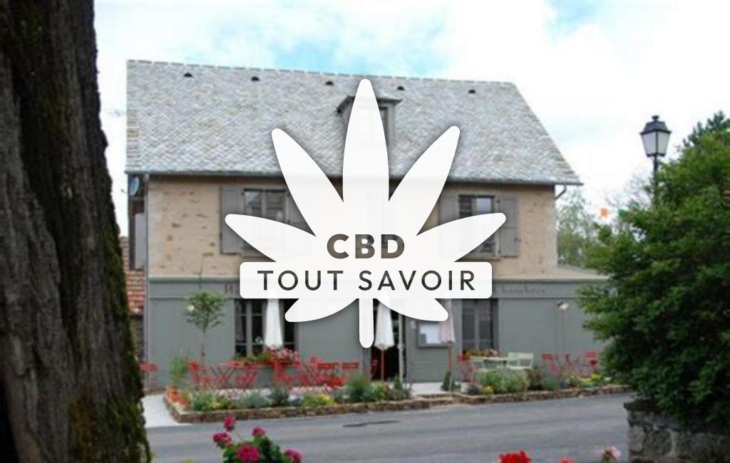 Village à Teissieres-les-Boulies avec feuille Cannabis CBD