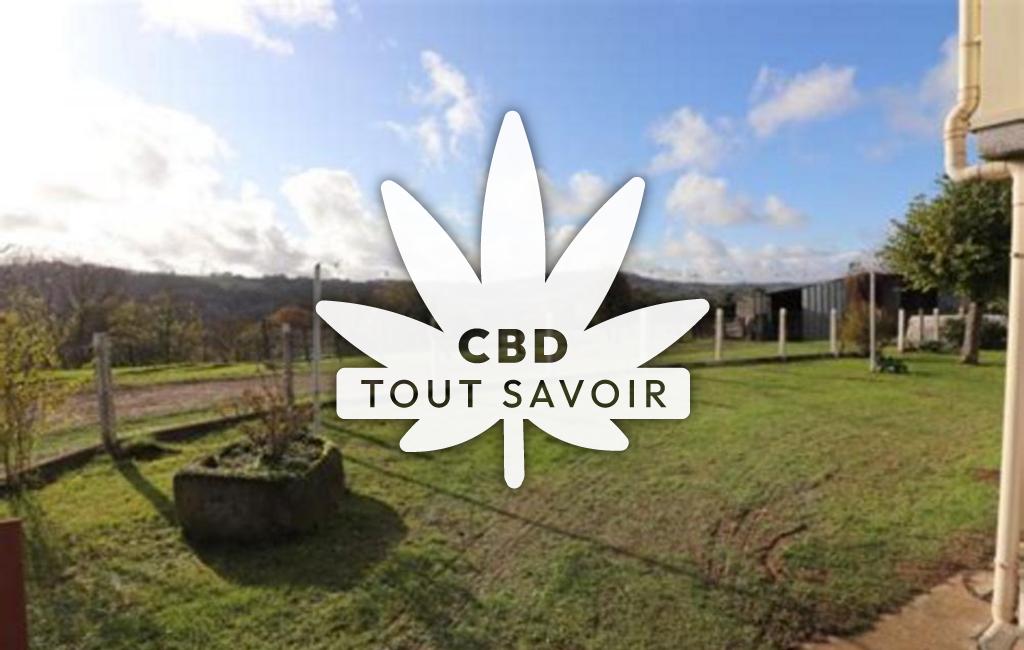 Village à Drugeac avec feuille Cannabis CBD
