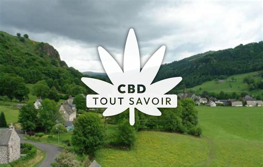 Village à Saint-Cirgues-de-Malbert avec feuille Cannabis CBD