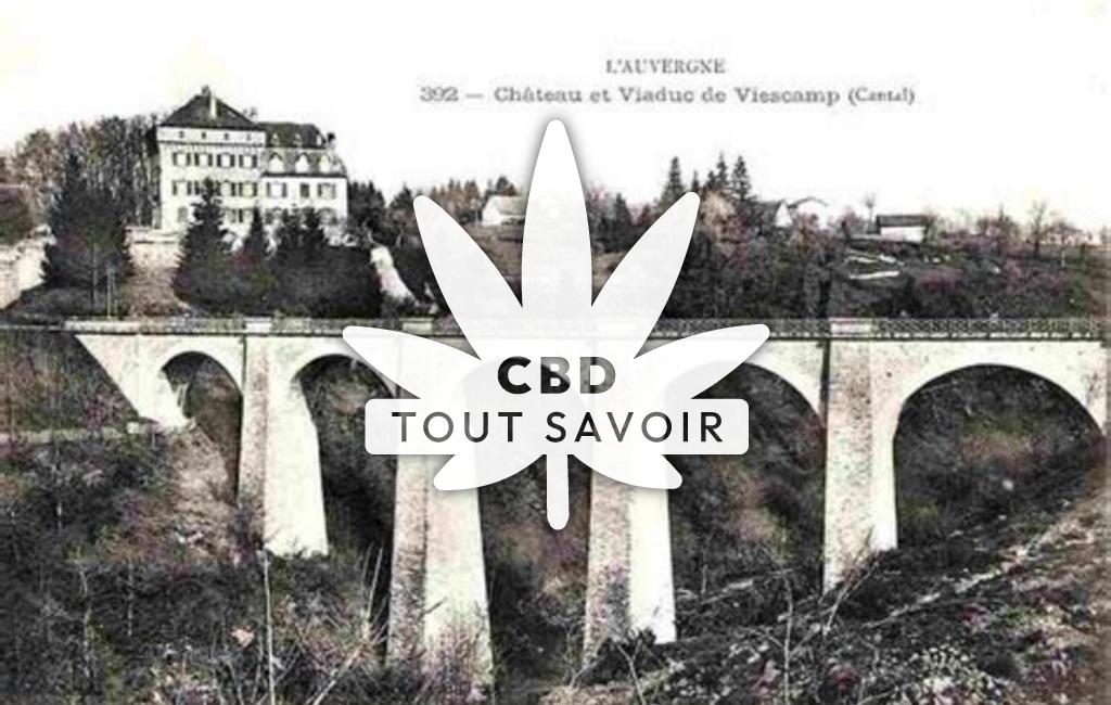 Village à Lacapelle-Viescamp avec feuille Cannabis CBD