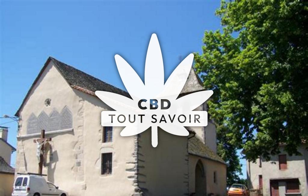Village à Saint-Santin-Cantales avec feuille Cannabis CBD