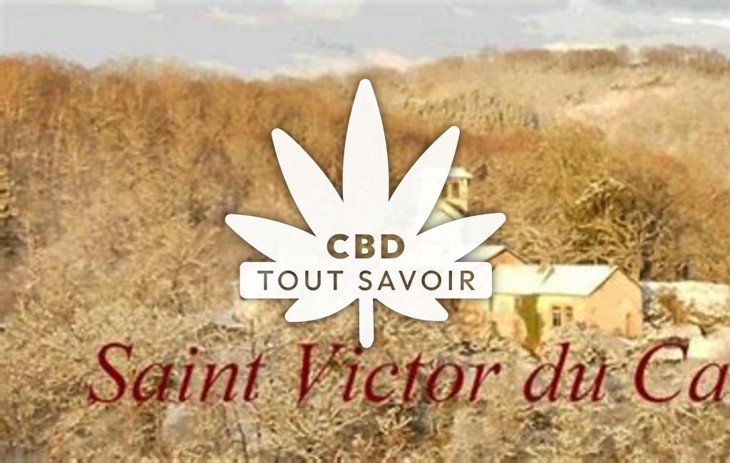 Village à Saint-Victor avec feuille Cannabis CBD