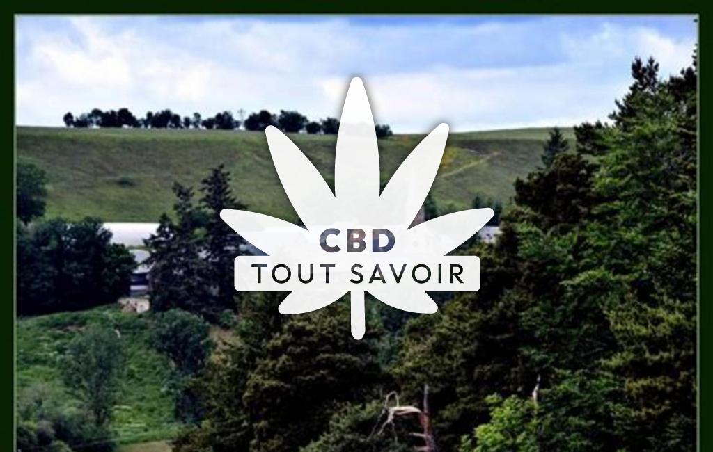 Village à Landeyrat avec feuille Cannabis CBD
