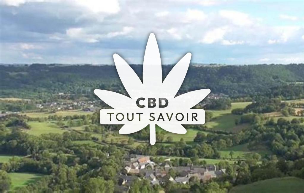 Village à Neussargues-en-Pinatelle avec feuille Cannabis CBD