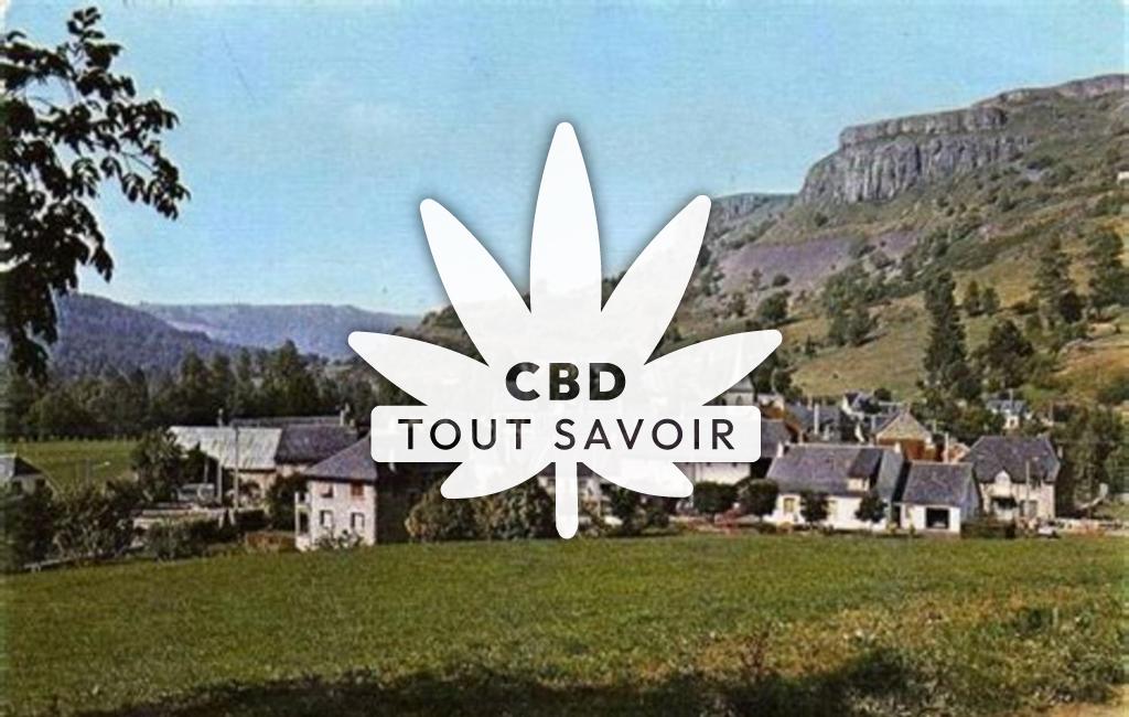 Village à Saint-Bonnet-de-Condat avec feuille Cannabis CBD