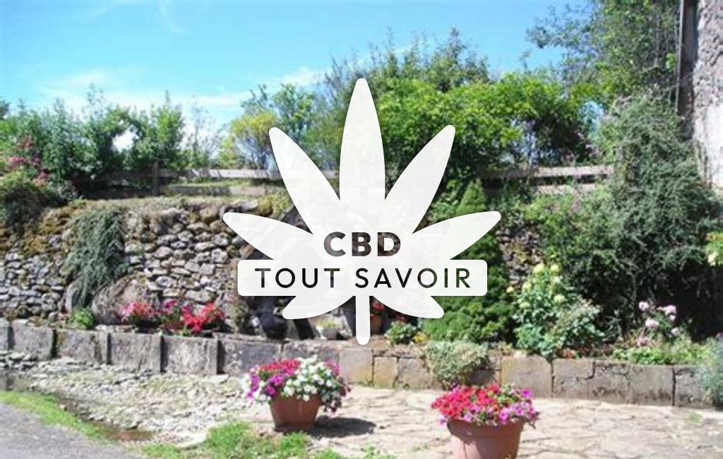 Village à Le-Vigean avec feuille Cannabis CBD