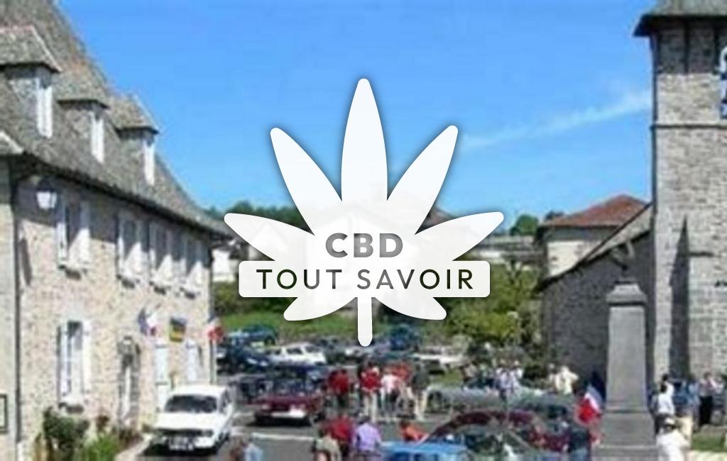 Village à Roannes-Saint-Mary avec feuille Cannabis CBD