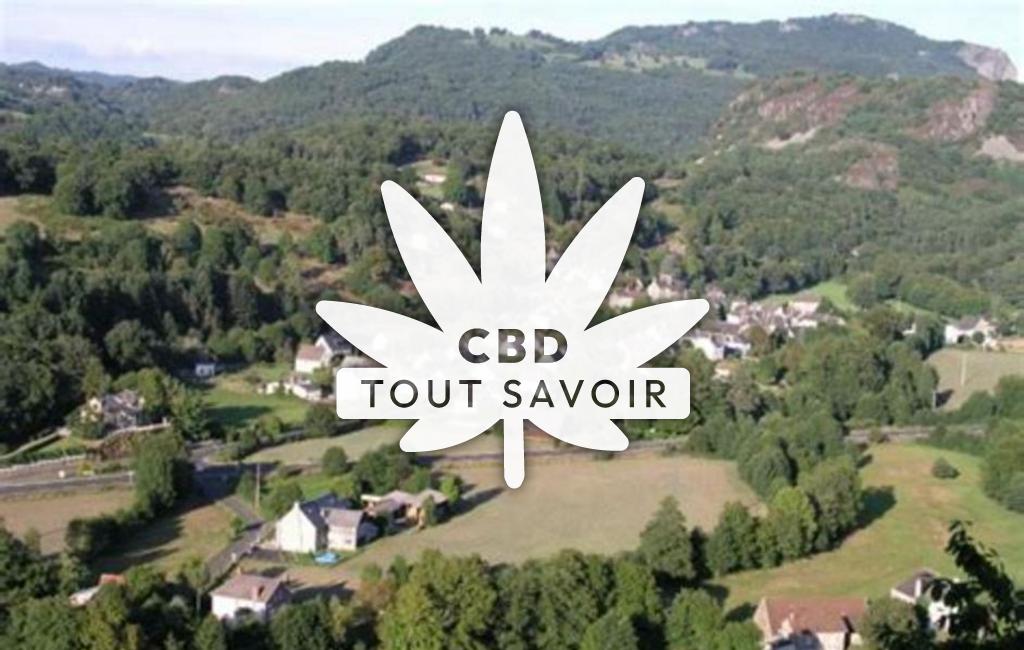 Village à Antignac avec feuille Cannabis CBD