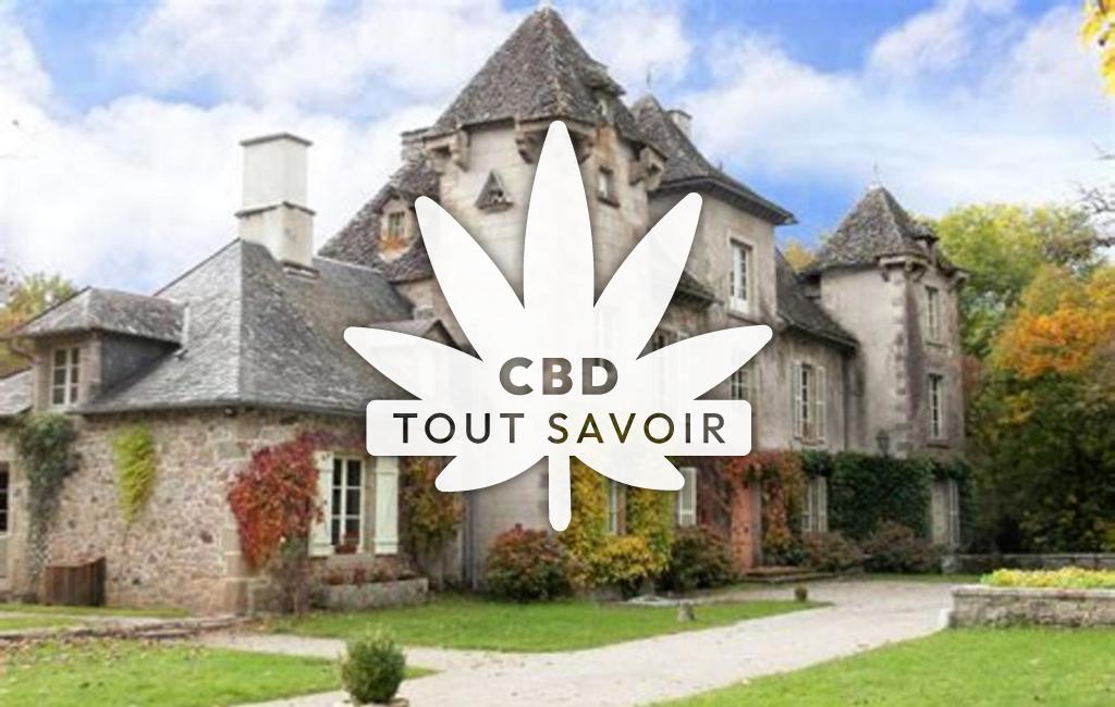 Village à Bassignac avec feuille Cannabis CBD