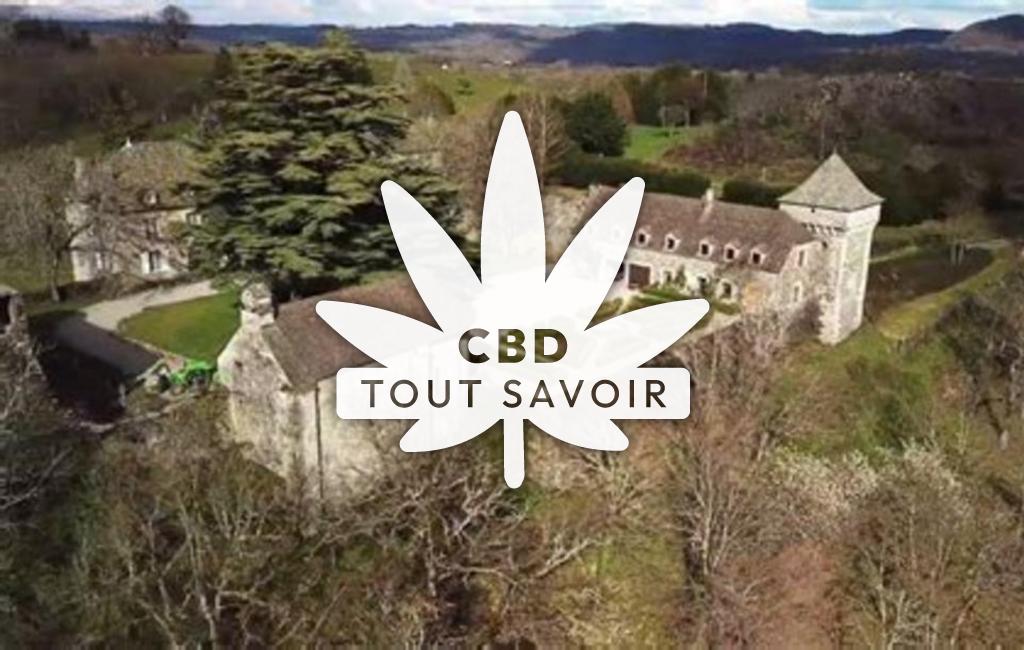 Village à La-Monselie avec feuille Cannabis CBD