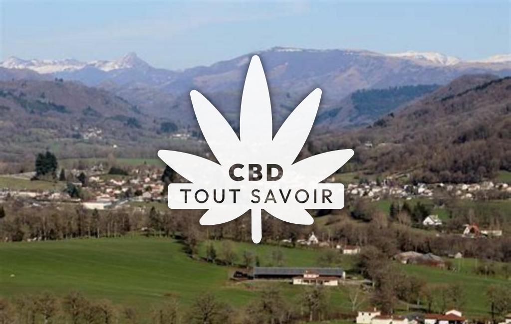 Village à Jussac avec feuille Cannabis CBD