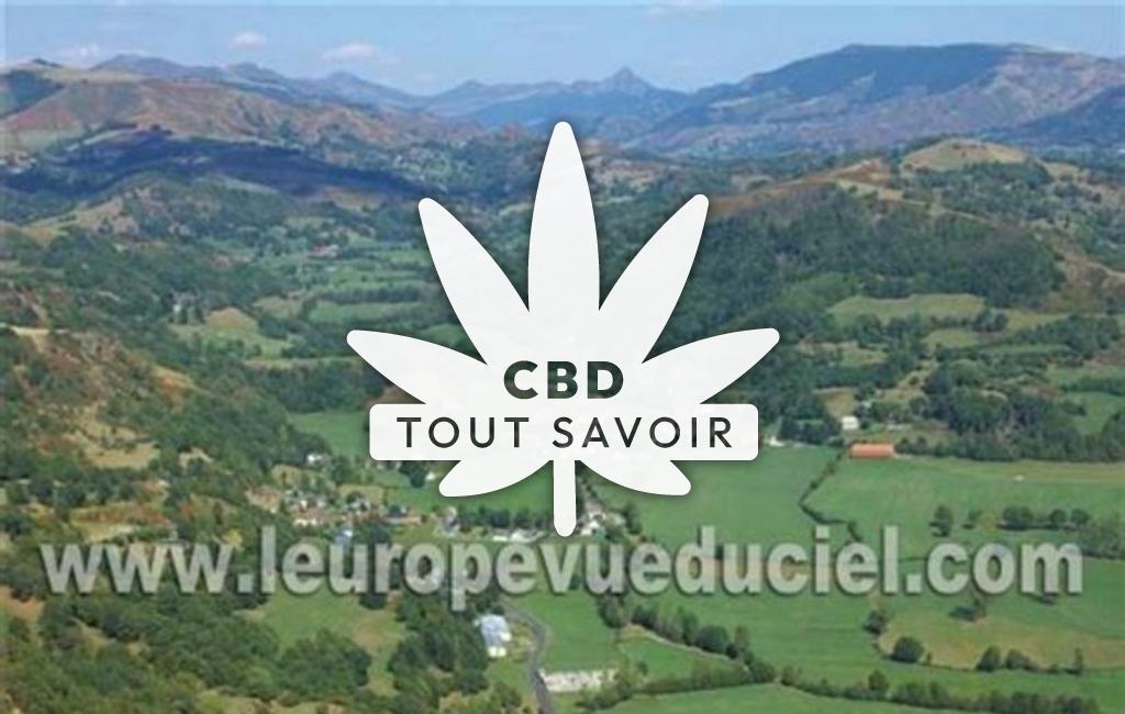 Village à Laroquevieille avec feuille Cannabis CBD