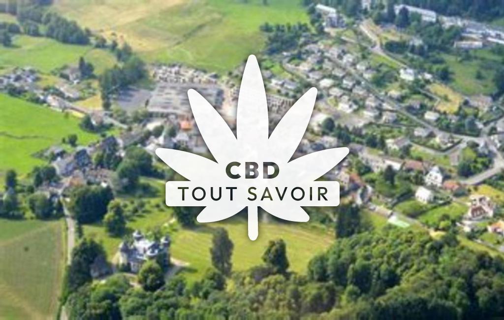 Village à Marmanhac avec feuille Cannabis CBD