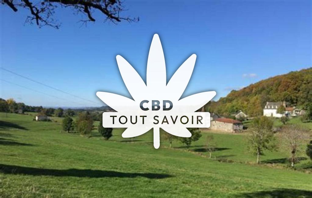 Village à Naucelles avec feuille Cannabis CBD