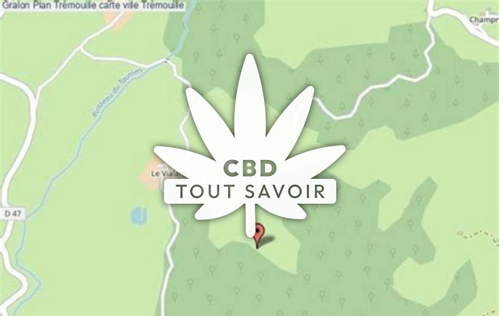 Village à Tremouille avec feuille Cannabis CBD
