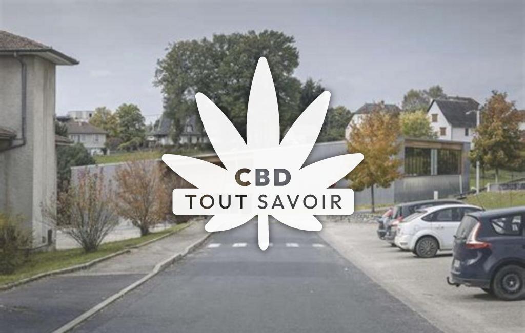 Village à Le-Rouget-Pers avec feuille Cannabis CBD