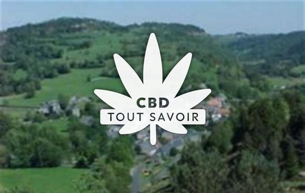 Village à Albepierre-Bredons avec feuille Cannabis CBD