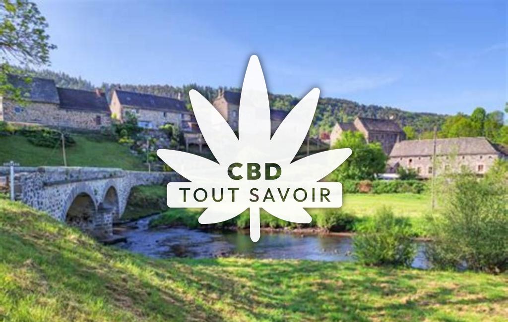 Village à La-Chapelle-D'Alagnon avec feuille Cannabis CBD