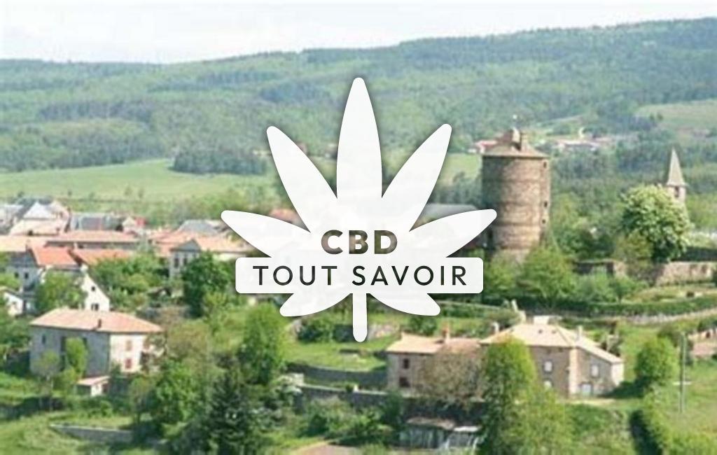 Village à Ruynes-en-Margeride avec feuille Cannabis CBD