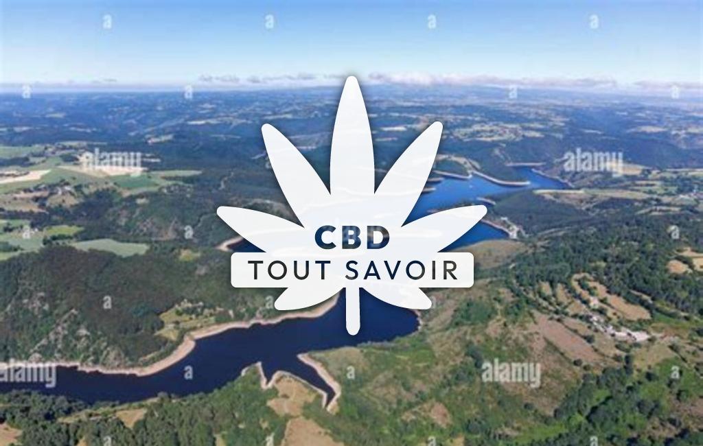 Village à Val-D'Arcomie avec feuille Cannabis CBD