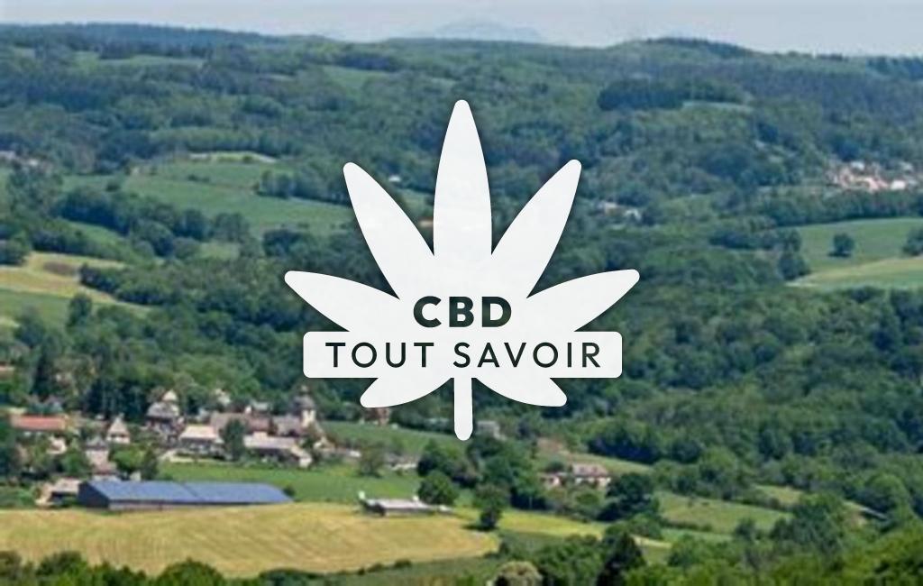 Village à Puycapel avec feuille Cannabis CBD