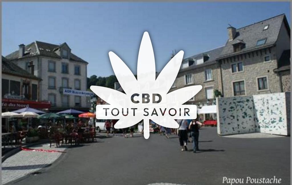 Village à Riom-Es-Montagnes avec feuille Cannabis CBD