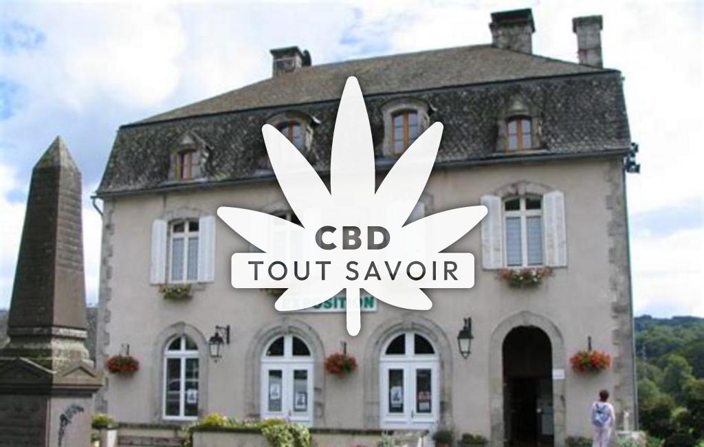 Village à Saint-Etienne-de-Chomeil avec feuille Cannabis CBD