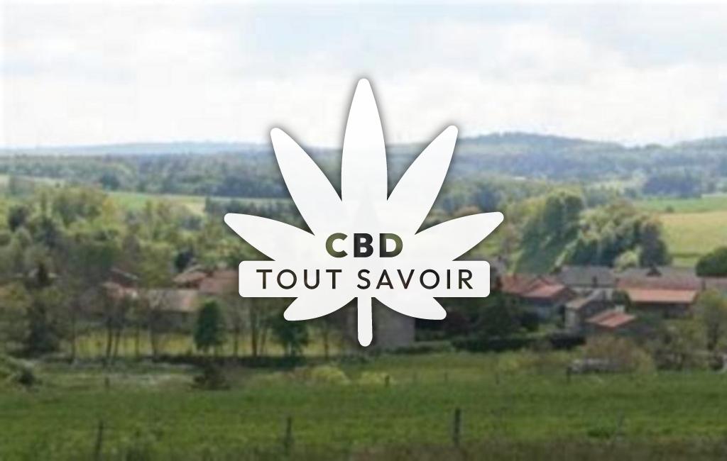 Village à Vieillespesse avec feuille Cannabis CBD