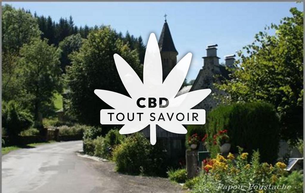 Village à Mandailles-Saint-Julien avec feuille Cannabis CBD