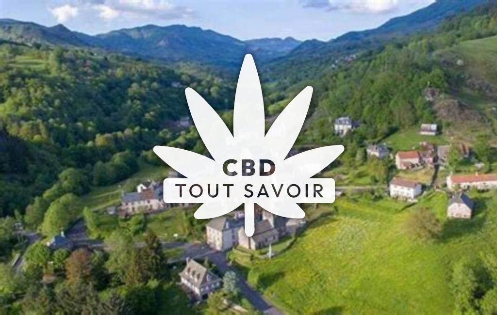 Village à Saint-Cirgues-de-Jordanne avec feuille Cannabis CBD