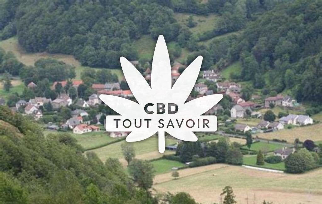 Village à Velzic avec feuille Cannabis CBD